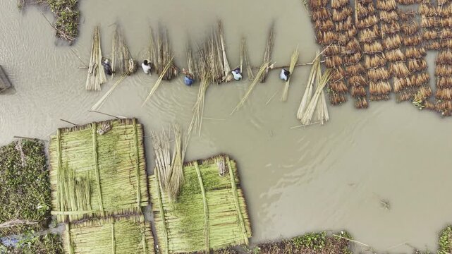 Top-down drone footage shows agricultural workers retting harvested jute in water in rural Bangladesh, surrounded by numerous jute bundles during traditional natural fiber processing.