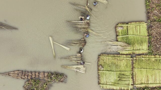 Forward-moving drone footage over agricultural workers retting harvested jute in rural Bangladesh, revealing numerous jute bundles in water during traditional natural fiber processing.