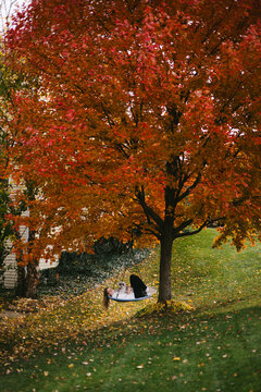 Woman relaxing with her dog on a swing under autumn tree