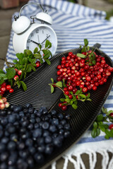 Autumn harvest concept with alarm clock, lingonberry and blueberry in forest style © Светлана Высокос