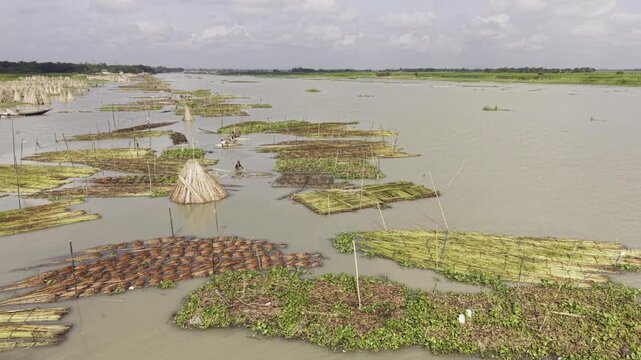 Aerial drone view of traditional jute retting in Bangladesh's Padma River, showing soaked jute bundles, jute sticks, muddy water, boats, river char, green vegetation and cloudy blue sky.
