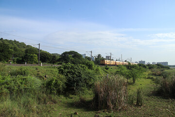 Fototapeta premium Passenger train travels through lush green countryside beside railway tracks, with overhead electric lines, blue sky, vegetation, and distant urban buildings creating scenic contrast background.