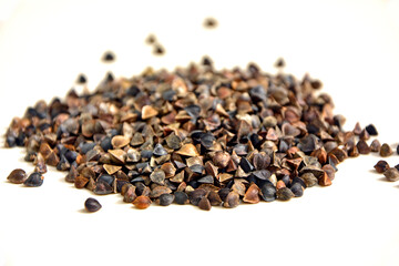 nasiona gryki (Fagopyrum), nasiona gryki do siewu na poplon, buckwheat seeds in a palm, buckwheat in a hand, buckwheat seeds for sowing © kateej