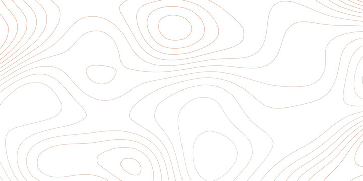 Minimal brown topographic map background. Abstract thin contour lines with light elevation on white. Clean design for banner, presentation and cover.