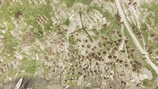 Aerial drone view of extensive harvested jute bundles drying beside the Padma River in Bangladesh, showing boats, green farmland, rural homes, waterways and a partly cloudy blue sky.