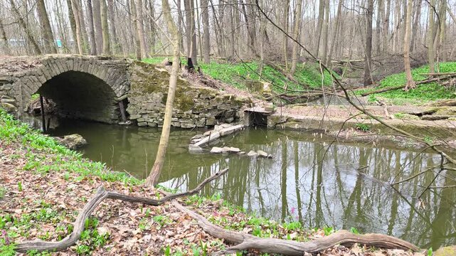 A train passes through a nature reserve in the Czech Republic behind an old stone bridge, forest stream and spring greenery.