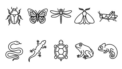 Fototapeta premium Wildlife Bug Reptile Insect and Animal Outline Vector Icon Set