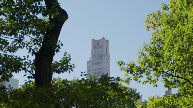 Crown of a pale stone apartment tower rises above dense green treetops in a large city park, sunlight catching its setbacks and window bays.