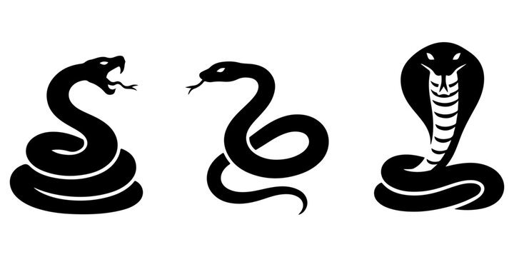 Snake silhouette set featuring coiled viper, slithering serpent, and king cobra vector illustration isolated on white background