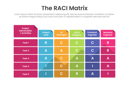 raci matrix infographic template with five by six folder tab role task diagram, flat style