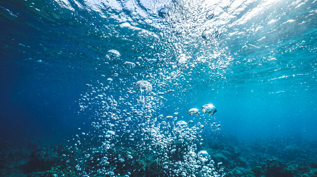 Underwater view of rising bubbles in clear blue ocean water