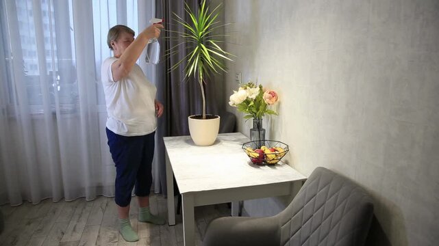 Older Caucasian woman sprays water on a green potted plant in a bright indoor room, performing a routine houseplant care task for healthy growth.