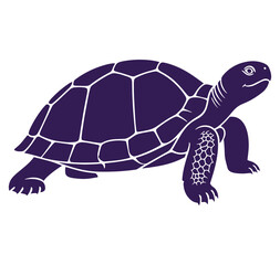 Fototapeta premium Purple turtle walking on white background illustration of a turtle