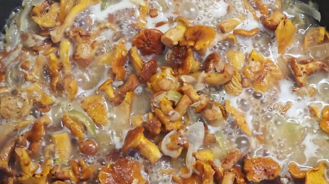 Fresh chanterelle mushrooms and sliced onions simmering in a creamy sauce, cooking in a pan with a bubbling liquid, showcasing culinary preparation of edible fungi for a delicious meal