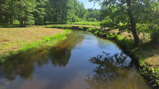 Meandering river gently flows through vibrant green forest landscape under clear blue sky, its surface reflecting surrounding trees and creating peaceful natural scene on sunny day.
