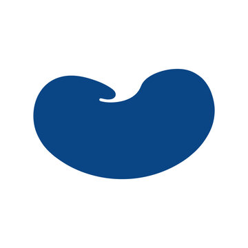  Simple human spleen vector icon, recognizable anatomical oval shape with natural curvature, single solid color, smooth clean contours, centered on pure white background, no shadows, no gradients, no 