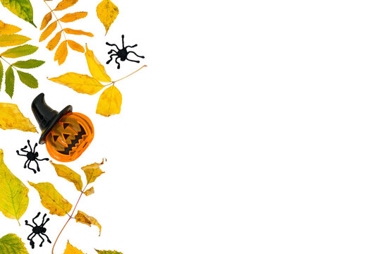 Horizontal Halloween banner with a Jack-o-lantern pumpkin, spiders and fall leaves on a transparent background with place for text