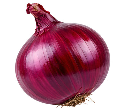 Fresh whole red onion isolated on white background for culinary and healthy food design.