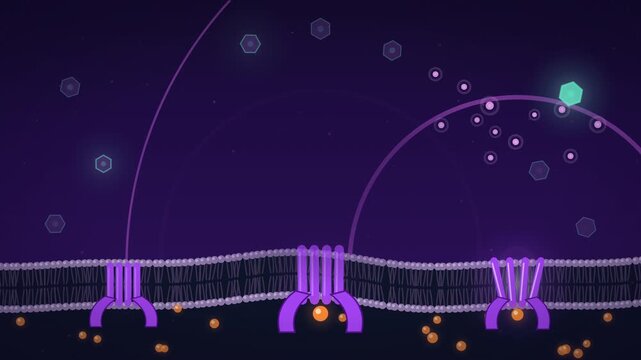 Glowing waves as orange ligand binds purple receptor seamless loop