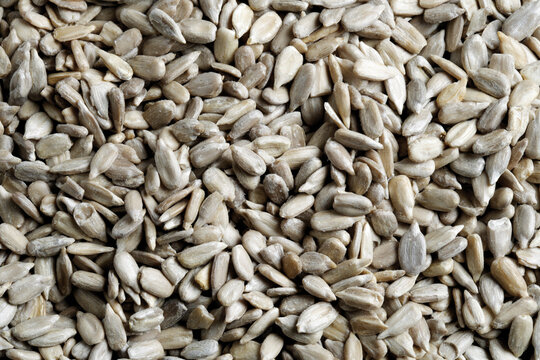 Sunflower seeds, close-up