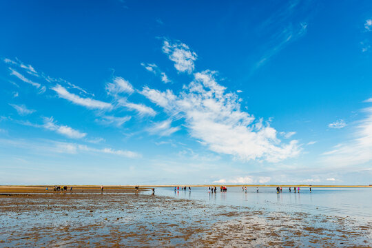 Mudflat hikers explore the North Sea coast in Sylt