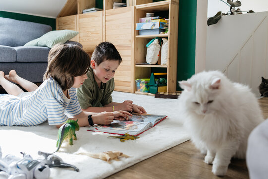 Brothers read a book on the floor with their cat at home