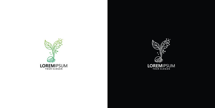 Simple and elegant plant seedling logo design on white and black backgrounds with placeholder text