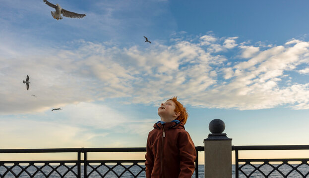 A redhead boy watches seagulls in the sky at the beach promenade