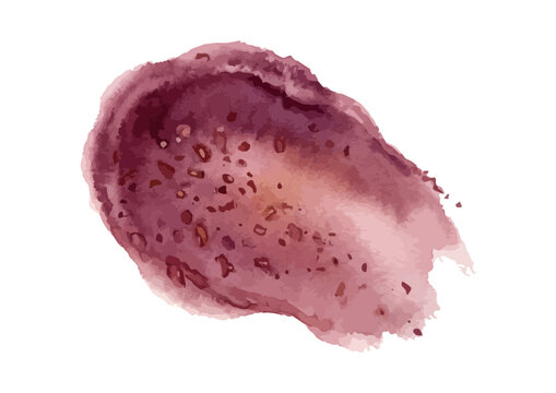 Watercolor Style Azuki Red Bean and Sweet Bean Paste Illustration／水彩風の小豆・あんこのイラスト