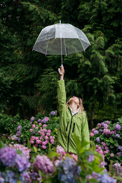 Woman holds a transparent umbrella near a blooming hydrangea outdoors