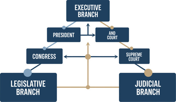 USA Government Structure: This infographic visually represents the fundamental structure of the United States government, detailing the distinct roles and interconnectedness of the Executive.