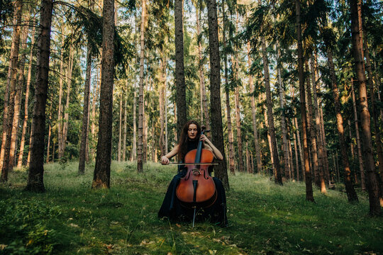 A woman plays the cello in a tranquil autumn pine forest