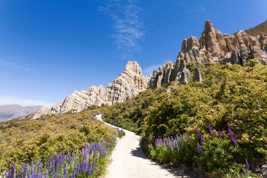 New Zealand, South Island, Omarama, Clay Cliff