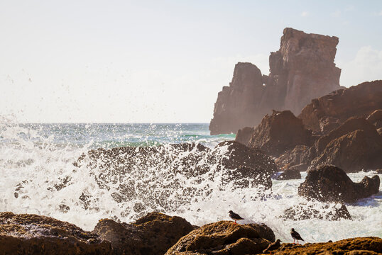 Ocean wave crashes against rock at Tonel Beach in Sagres Portugal