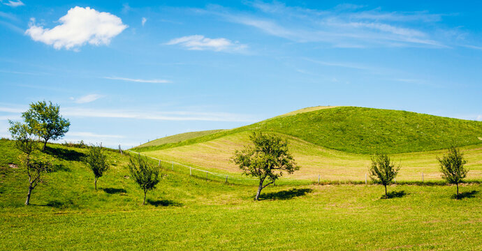Austria, Landscape of small trees against blue sky at Mondsee