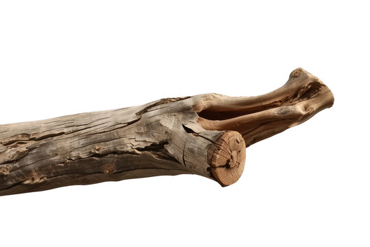 Weathered driftwood branch with broken end