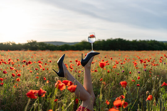 Poppy meadow relaxation featuring woman legs raised in air balancing wine glass on black high heel shoe during summer