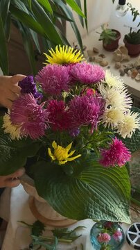 Hands adjust aster stems in vase framed by hosta leaves near window with potted plants. Seasonal local flowers, sustainable floristry practice, home grown blooms, slow craft skills
