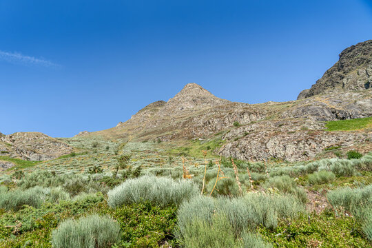 Rocky Mountain Peak and Green Alpine Scrubland, High Altitude Landscape, Pyrenees, Scenic Nature View