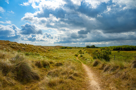 Sandy footpath winding through grassy dunes and marram grass towards distant trees under a dramatic cloudy sky, Norfolk Coast Path near Horsey Gap, England