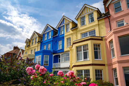Colourful yellow, blue and pink Victorian seafront houses with bay windows and gables, framed by blooming pink roses and buddleia, Aldeburgh, Suffolk, England