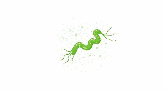 Green spiral bacteria floating on white background