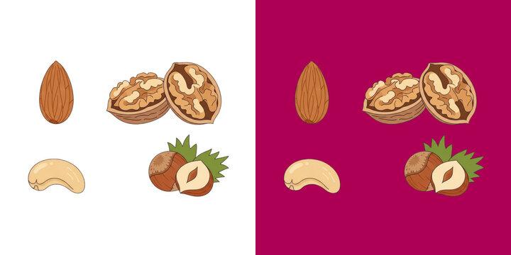 Set of healthy organic nuts including walnut almond cashew and hazelnut transparent png