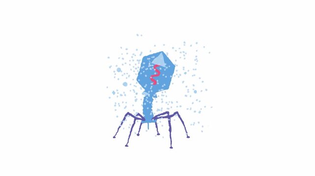 Bacteriophage virus icons on white background