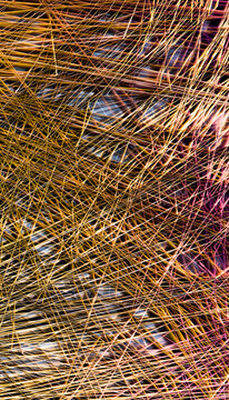 An abstract close-up image of colorful overlapping thin lines creating