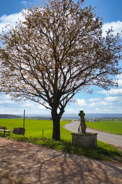 Wayside shrine Cross and Tree by a Country Road