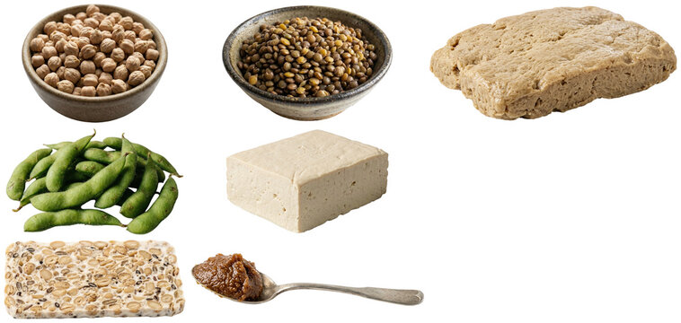A collection of nutritious plant-based protein ingredients including tofu, tempeh, seitan, edamame, legumes, and miso.
