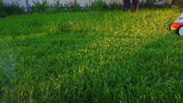 A person is using a lawnmower to trim the grass in a backyard garden during golden hour, creating a neat and tidy outdoor space