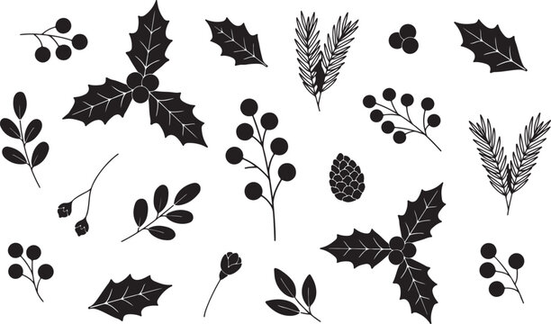 Winter botanical collection with holly leaves and berry branches silhouette for festive season greeting card and holiday decor.