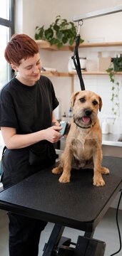 Pet Groomer Caring for Calm Dog